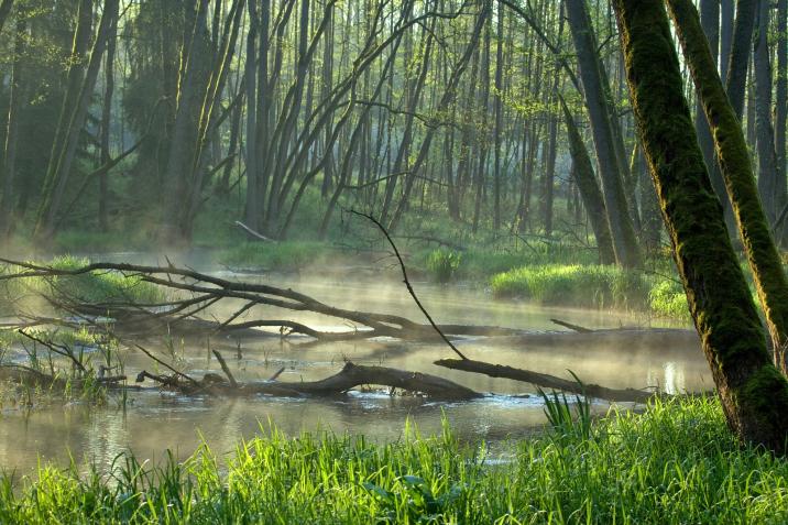 Foto&#x3a;&#x20;Jarosław&#x20;Ramucki